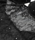 بادی فانتزی کاپدار جک دار فنردار دانتل و توری نگین دار Neev نیو کد Kiss مشکی Black